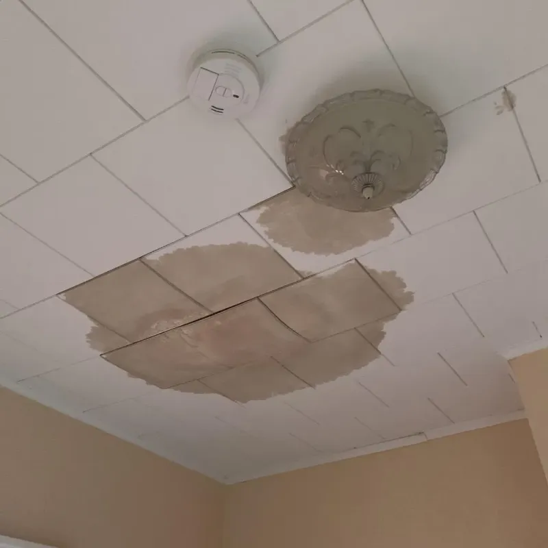 Ceiling Water Damage Repair in Branch, MN