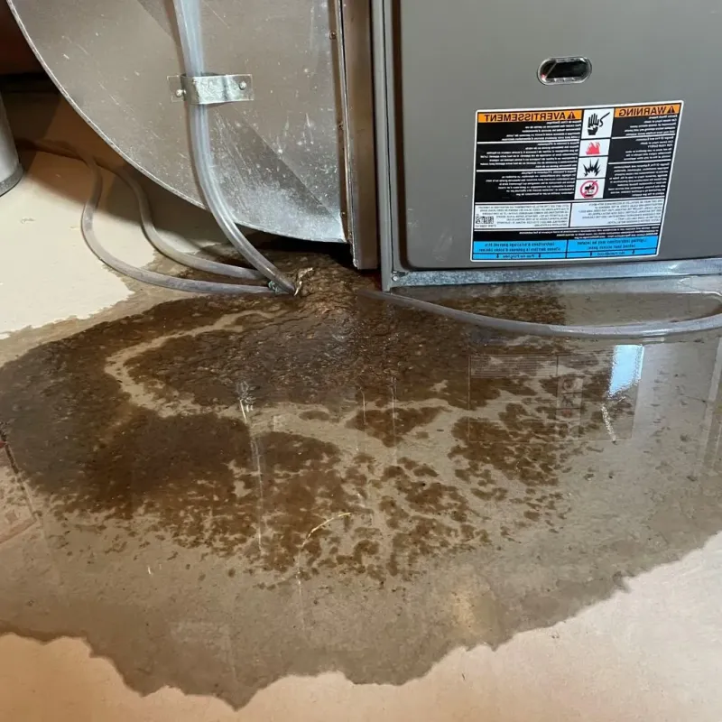 Pipe Burst and Leak Restoration in Branch, MN