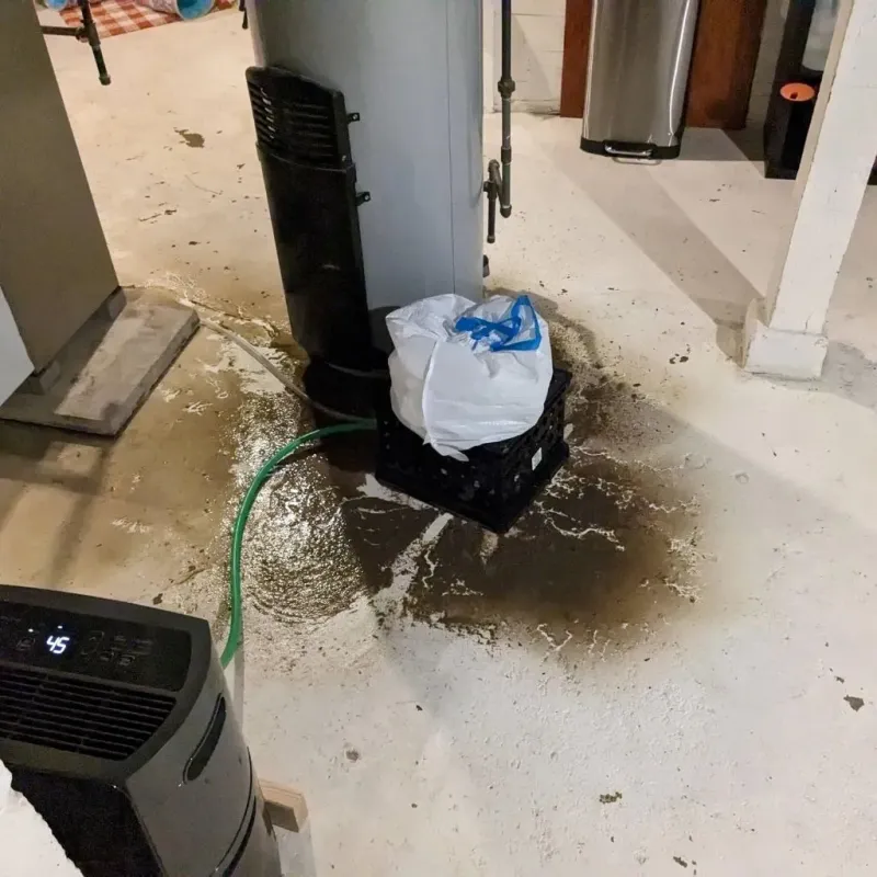 Sewage Backup Cleanup Service in Branch, MN